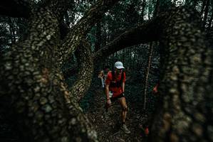 BIB: 
                            <button type="button" onclick="openModal(25691449)" class="btn btn-primary btn-sm float-right btn-popup" data-toggle="modal" data-target=".modal-high-quality">
                        <i class="fas fa-shopping-cart"></i> Add to Cart
                    </button>
                                            <button type="button" onclick="isThisMe(25691449, true)" class="btn btn-success btn-sm float-right btn-popup btn-isme hidden" data-toggle="tooltip" data-placement="bottom" title="นี่คือรูปของคุณใช่ไหม คลิกที่นี่เพื่อเอาเข้าอัลบั้ม">
                        <i class="fas fa-plus"></i> Add to album
                    </button>
                    <button type="button" onclick="isThisMe(25691449, false)" class="btn btn-warning btn-sm float-right btn-popup btn-isnotme hidden">
                        <i class="fas fa-ban"></i> Remove from album
                    </button>